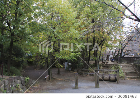 Shakujii河（Tonanku nuki綠點） 30081468