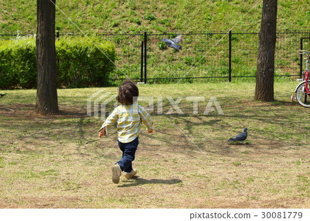 Two-year-old child who chases the pigeon Two-year-old child who chases the pigeon 30081779