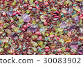 Colorful stones background  30083902