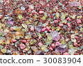 Colorful stones background  30083904