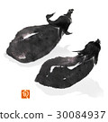 茄子 30084937