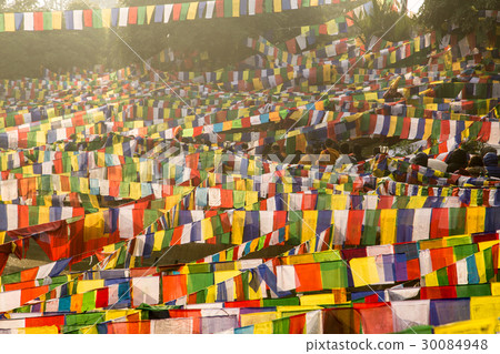 Talcho西藏佛教傳統禱告旗子 30084948