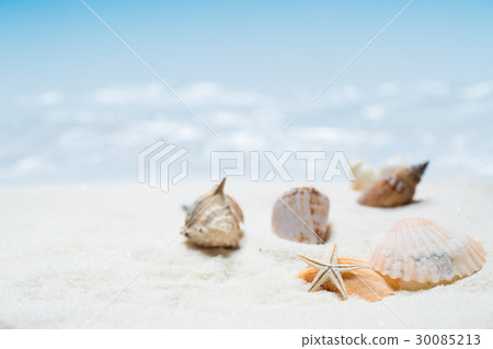 Image of the beach 30085213