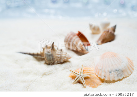 海灘的形象 30085217