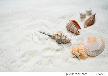 Image of the beach 30085222