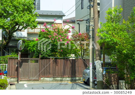 日本東京，上野，街道，東京、日本、上野、街路、Tokyo, Japan, Ueno, street, 30085249