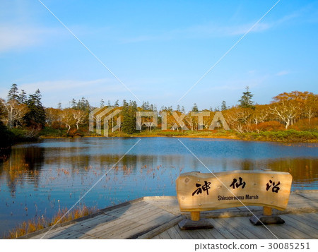 秋天的溫森沼澤 秋天的溫森沼澤 30085251