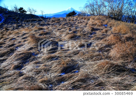 大菩薩嶺·Hamaiba Maru霜草原和富士山 30085469