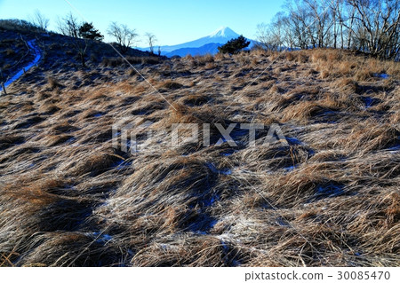 大菩薩嶺·Hamaiba Maru霜草原和富士山 大菩薩嶺·Hamaiba Maru霜草原和富士山 30085470