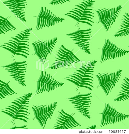 Pattern with tropical palm leaves Pattern with tropical palm leaves 30085637