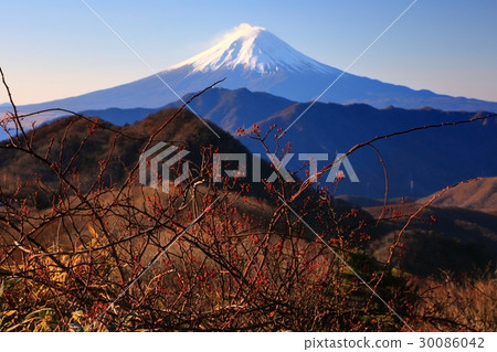 Fuji seen from the vicinity of the Great Bodhisattca Ring · Hamaiba Maru 30086042
