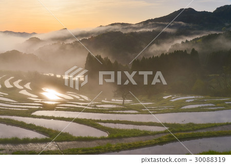 [千葉]大山千枚田的黎明 30088319