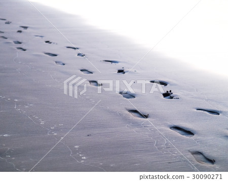 Footprints on the beach Footprints on the beach 30090271