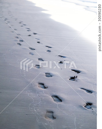 Footprints on the beach 30090280
