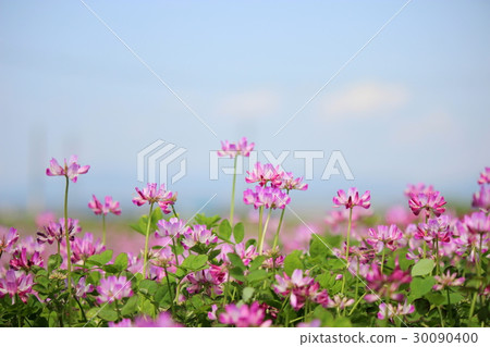 Flower garden of Rangenso 30090400