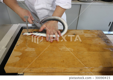 Eel's judgment 30090415