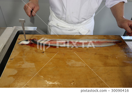 Eel's judgment 30090416