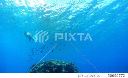 Okinawa Tokashikijima Island Takahisa Tokida Male underwater snorkeling at the beach Okinawa Tokashikijima Island Takahisa Tokida Male underwater snorkeling at the beach 30090772