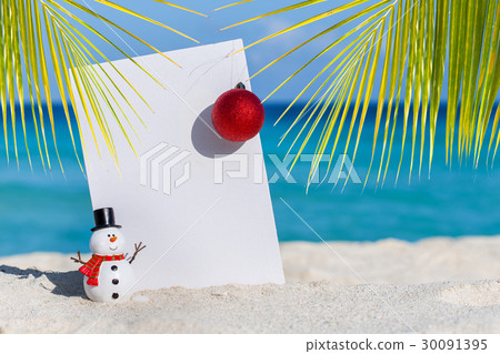 New Year and christmas celebration 30091395