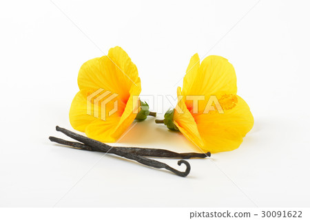 hibiscus flowers and vanilla pods 30091622