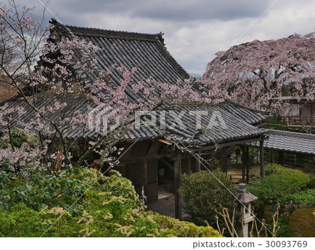 Nara · Yoshinoyama 30093769