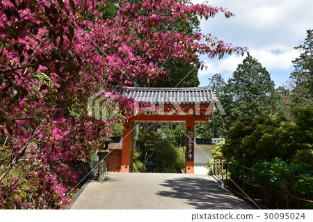 Torii at Mimuroto Temple Torii at Mimuroto Temple 30095024