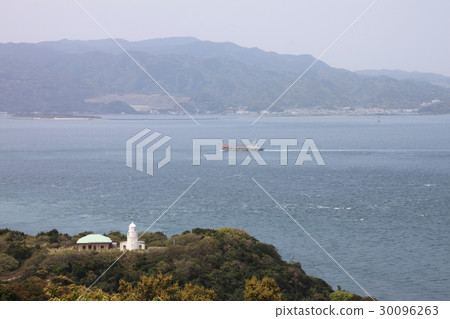 Tomogagima in spring 30096263