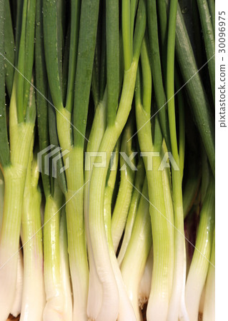 Wakagi Wakagi 30096975