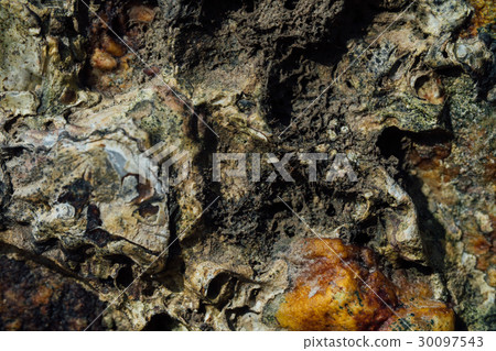 Texture of sea stone with rust. Texture of sea stone with rust. 30097543