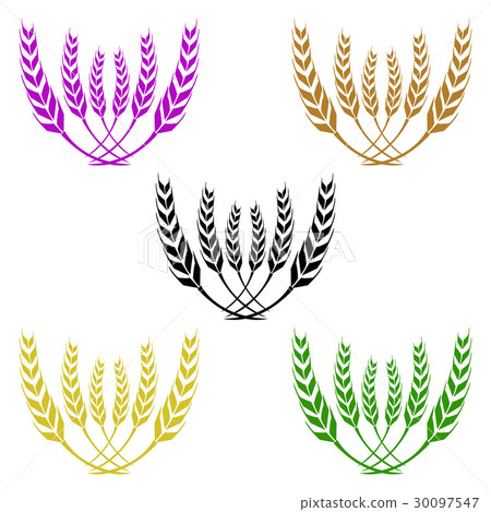 vector of wheat vector of wheat 30097547