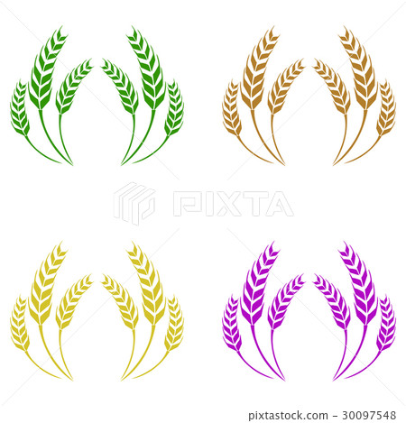 vector of wheat vector of wheat 30097548