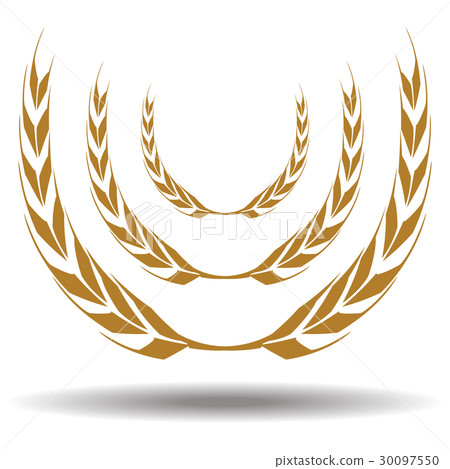 vector of wheat vector of wheat 30097550