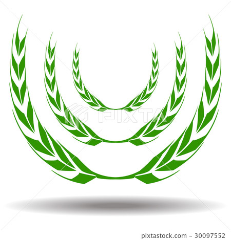 vector of wheat 30097552