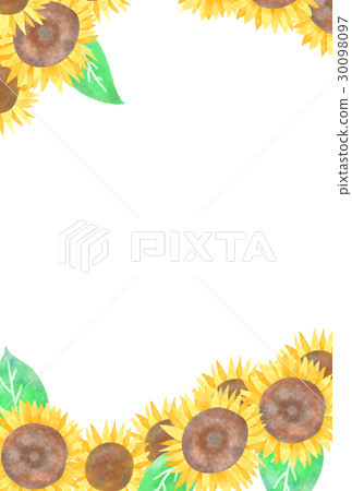 向日葵賀卡 向日葵賀卡 30098097