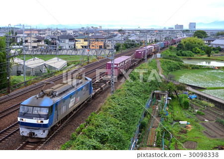 EF 210 - 132 Container freight train 30098338
