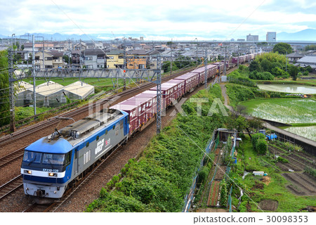 EF 210 - 128 Container freight train 30098353