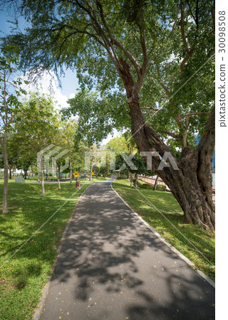 Public park background on a summer day Public park background on a summer day 30098508