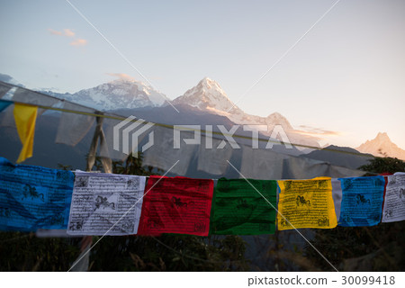 View from Poon Hill, Prayer flags Annapurna range  30099418