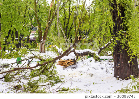 Heavy snow in Moldova, view of central park 30099745