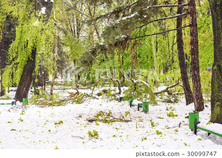 Heavy snow in Moldova, view of central park 30099747