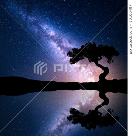 Night scene with Milky Way and old tree 30100497