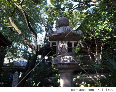 Okuzawa Shrine Okuzawa Shrine 30101309