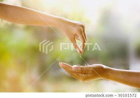 hand giving money for investment the future hand giving money for investment the future 30101572