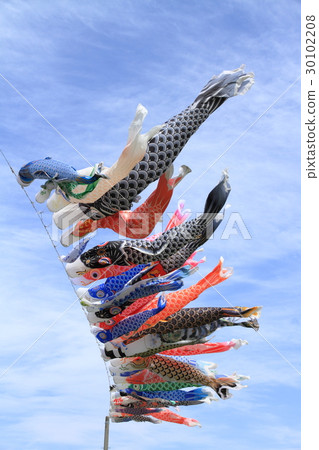 鯉魚飄帶在天空中游泳極大 30102208