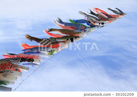 鯉魚飄帶在天空中游泳極大 30102209