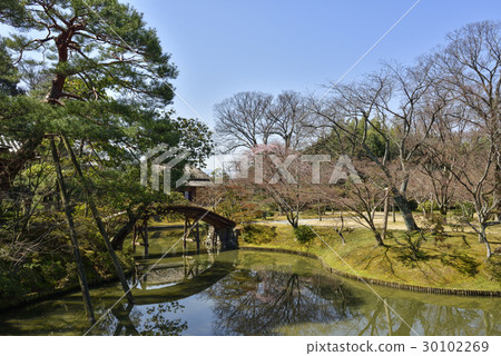 Katsura Rikyu Ikeizumi可步行花園 30102269
