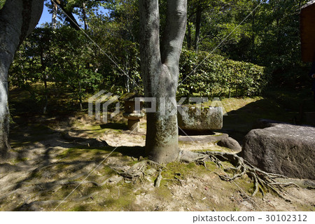 Katsura Rikyu外凳雙手口形手盆和燈籠 30102312