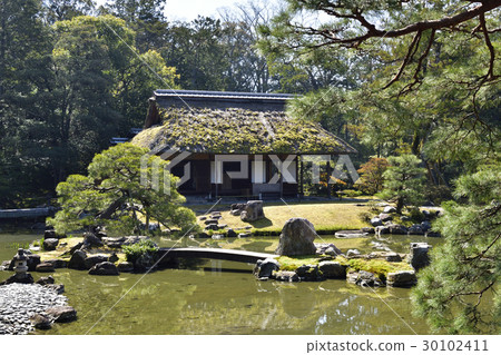 Katsura Rikyu Song Shinkintei Katsura Rikyu Song Shinkintei 30102411