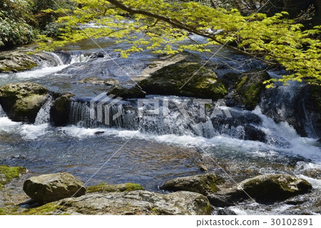 Yae瀑布（島根縣） 30102891