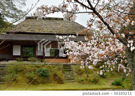 Katsura Imperial Palace Katsura Imperial Palace 30103211